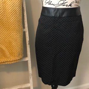 The Limited embroidered skirt